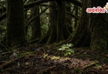 Life Lessons from Nature