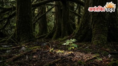 Life Lessons from Nature