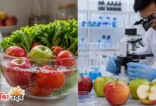 New Produce Wash to Remove Pesticides