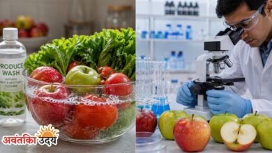 New Produce Wash to Remove Pesticides